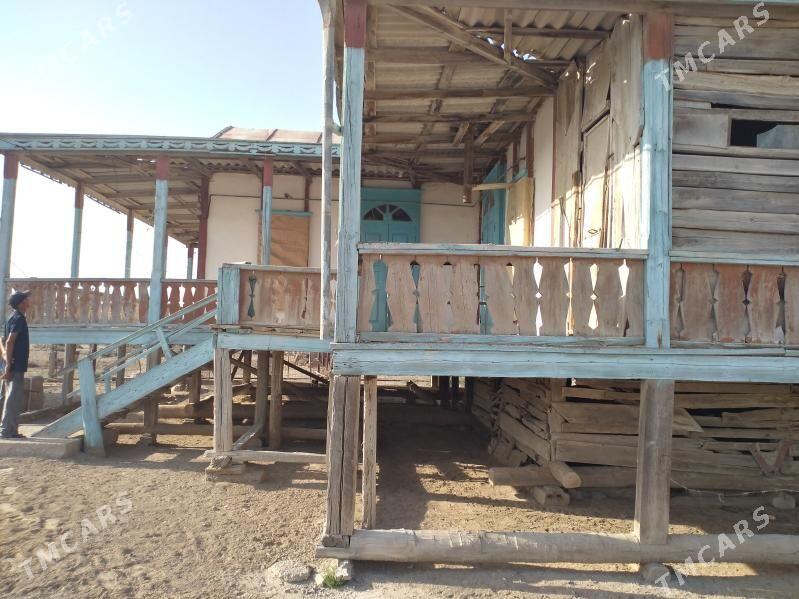 Satlyk jay - Esenguly - img 5