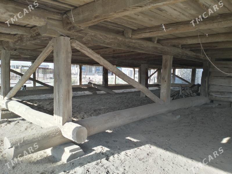 Satlyk jay - Esenguly - img 3