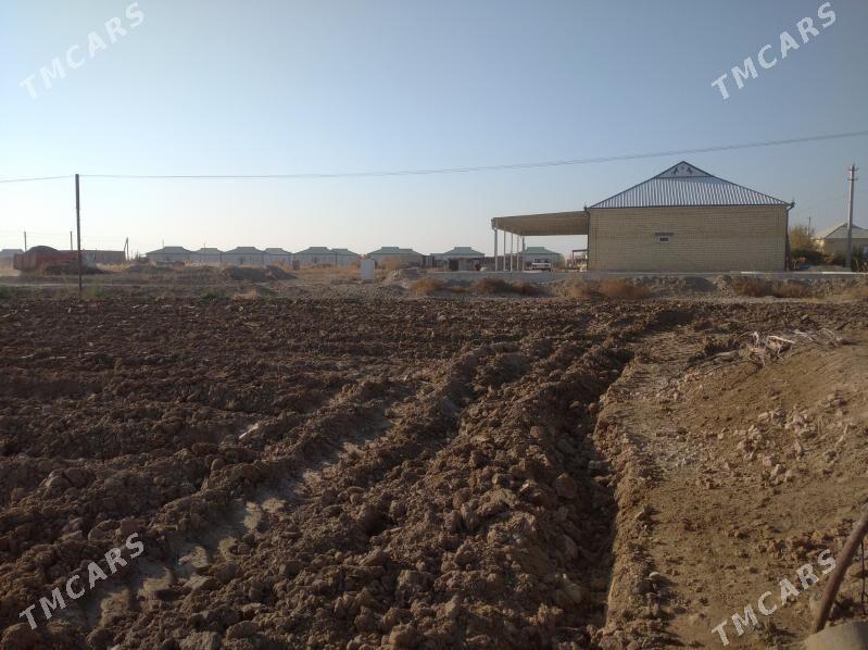 SATLYK JAY - Байрамали - img 5