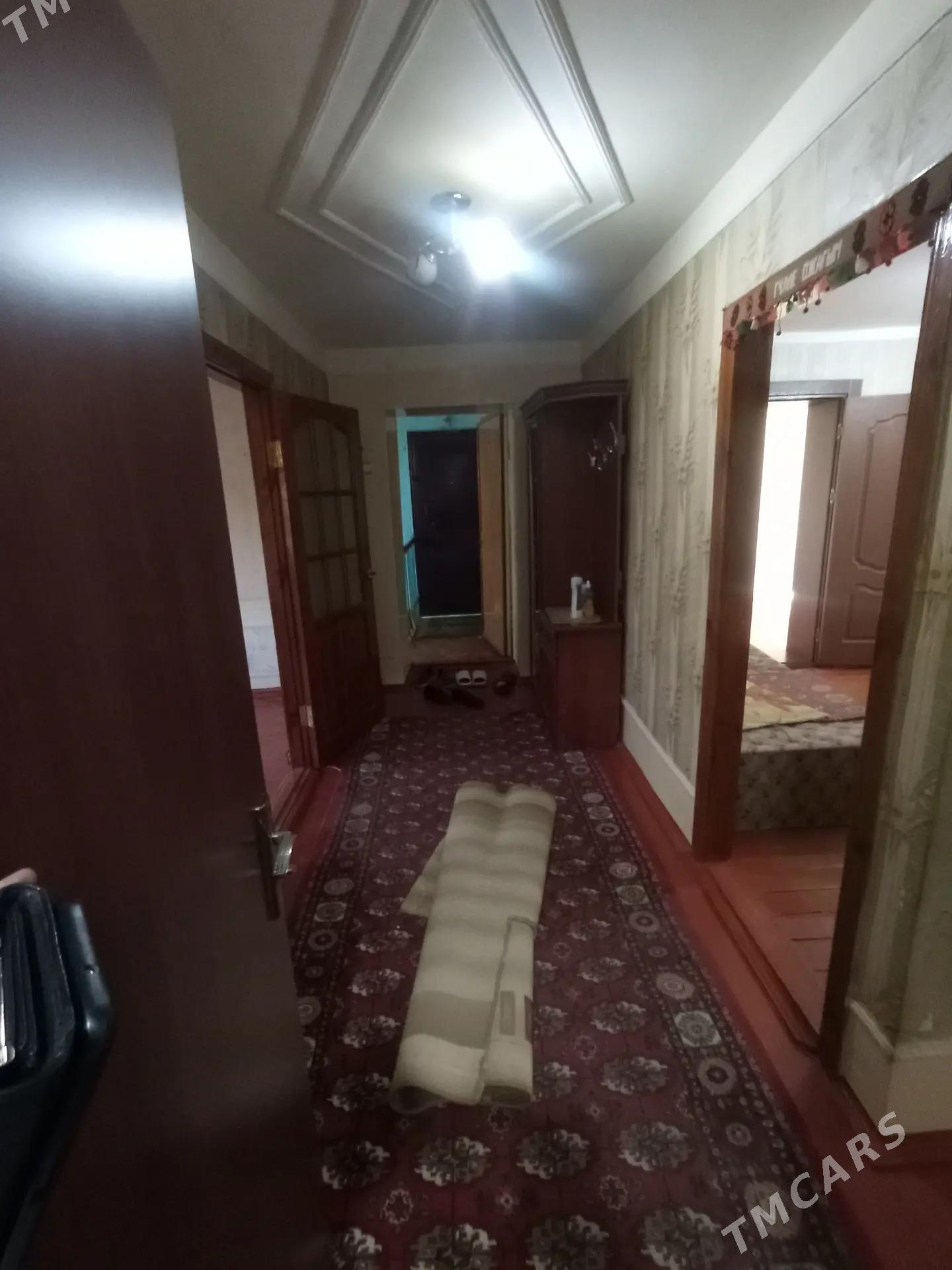 Satlyk jay - Mary - img 9