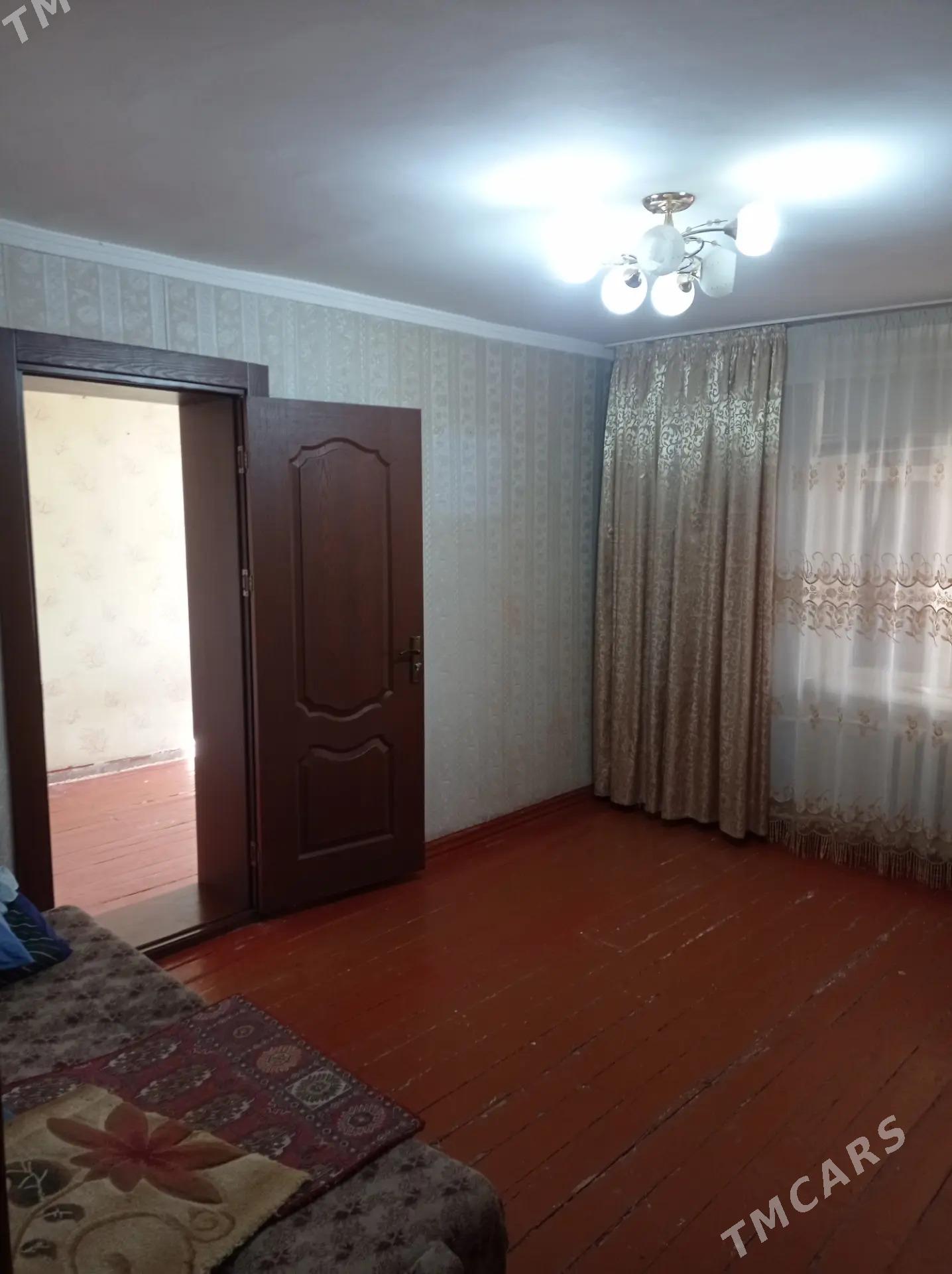 Satlyk jay - Mary - img 10