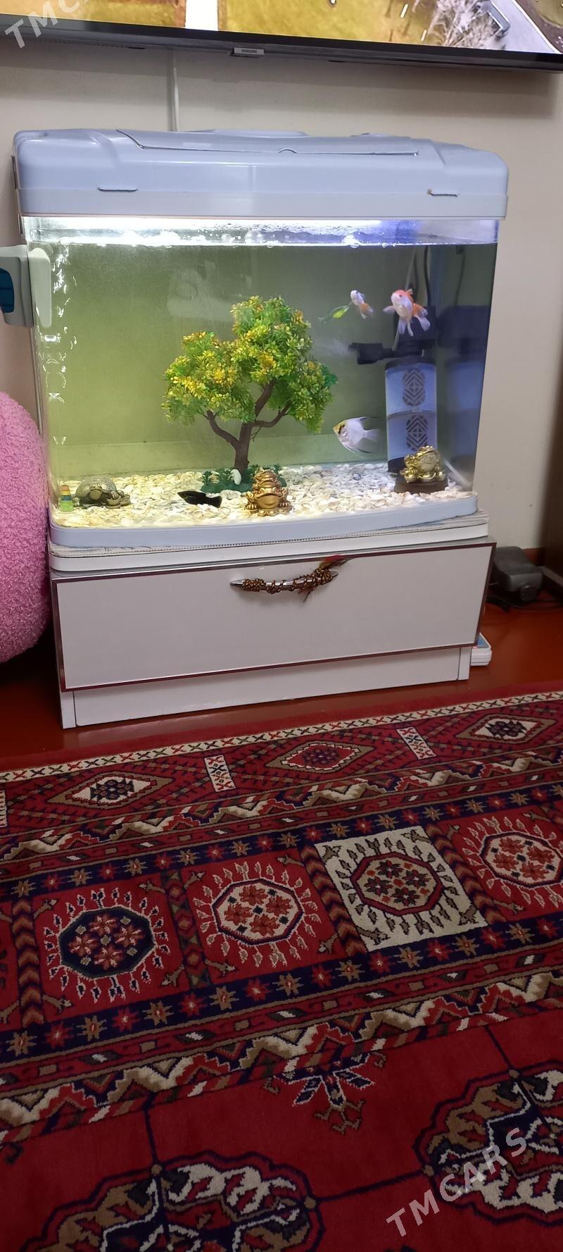 akwaryum    85 litr - 30 мкр - img 1