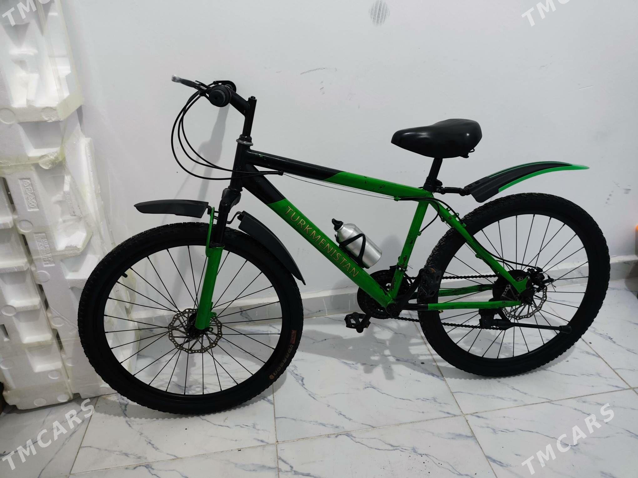 tigir - Аркадаг - img 1