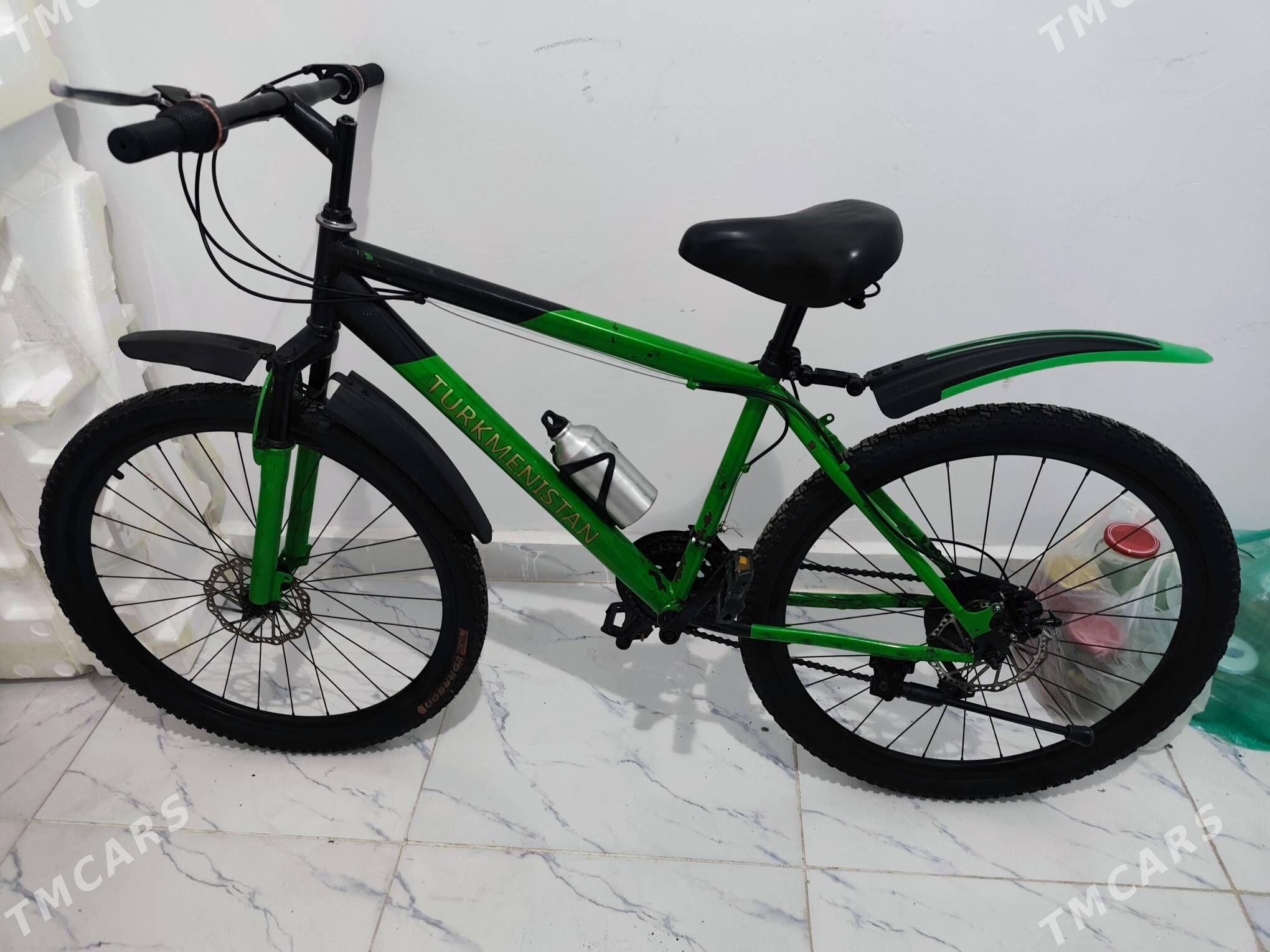 tigir - Аркадаг - img 2