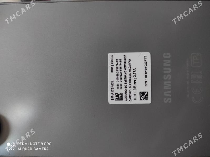 A17 8/256 - Гороглы (Тагта) - img 4