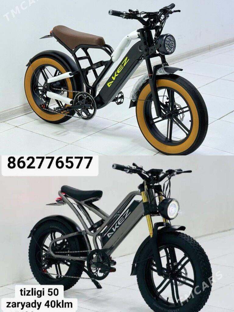 TOKLY TIGIR SAMAKAT SKUTER - Гуртли - img 1