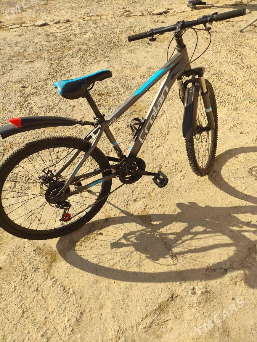 tigir - Арзув - img 1