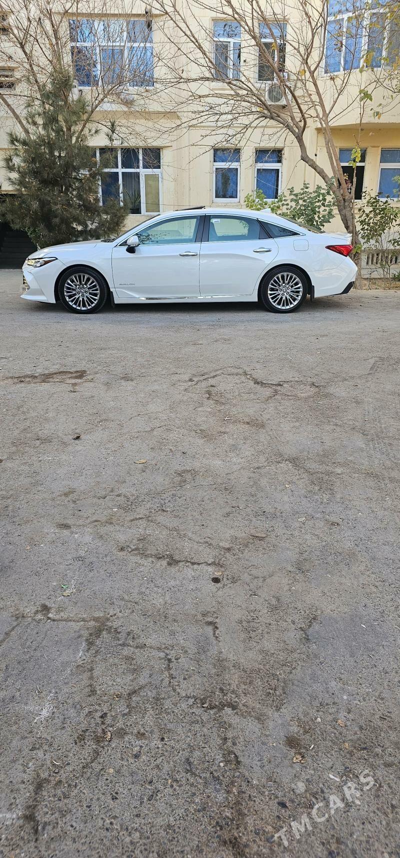 Toyota Avalon 2019 - 395 000 TMT - Büzmeýin GRES - img 3