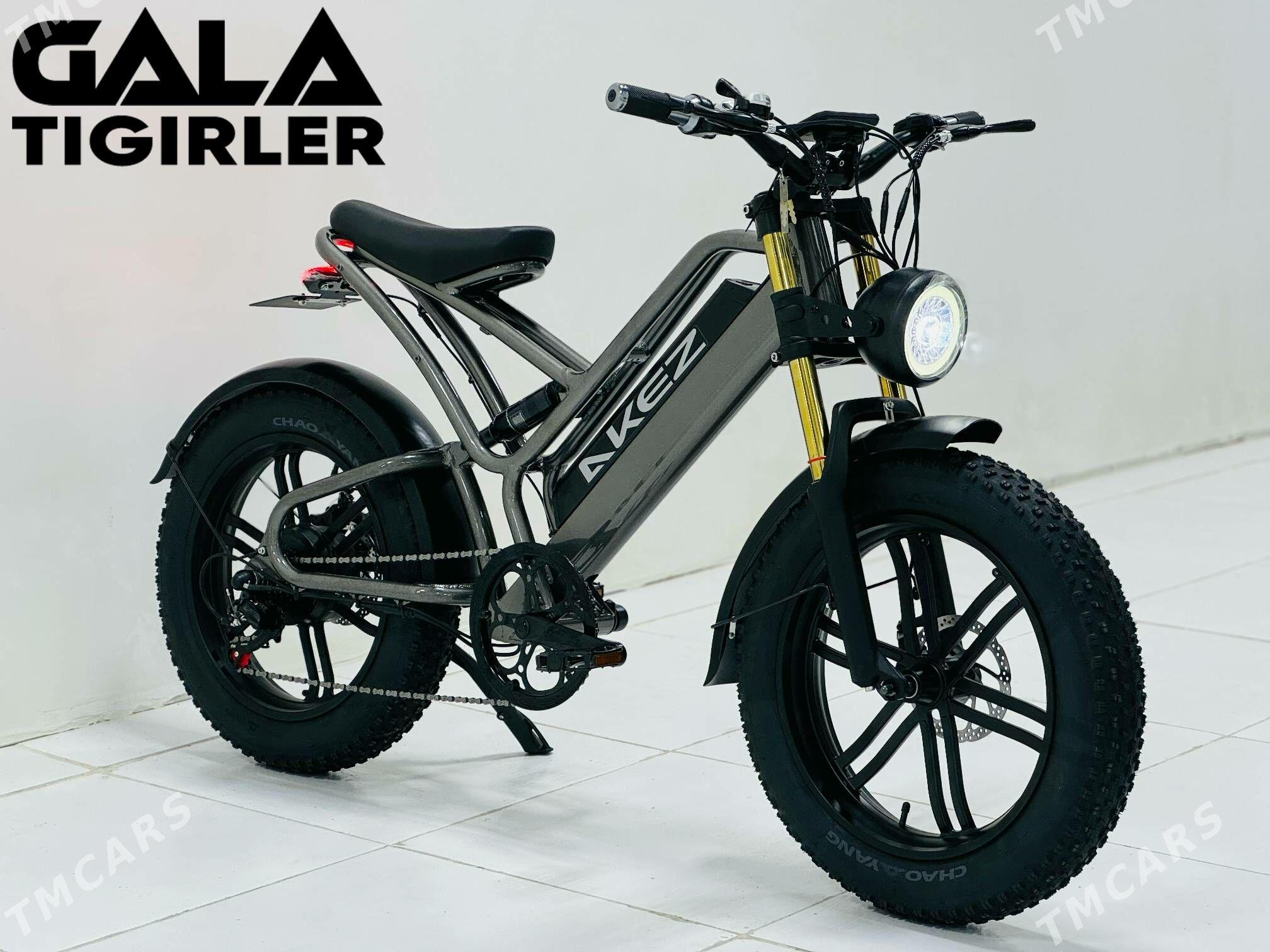 TOKLY SKUTER TIGIR SAMAKAT - Гуртли - img 1