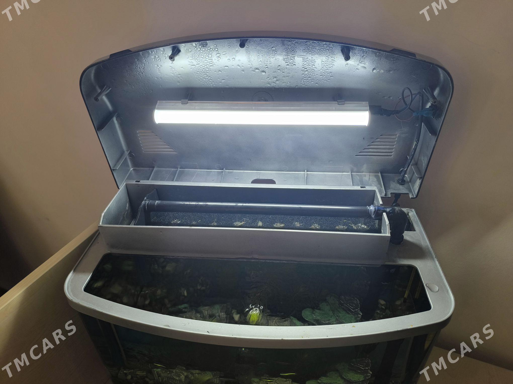 Akwarium/ Akwarium - ул. Подвойского (Битарап Туркменистан шаёлы) - img 4