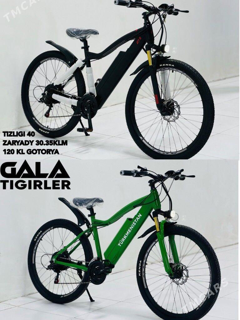 TOKLY TIGIR SAMAKAT SKUTERLAR - Гуртли - img 3