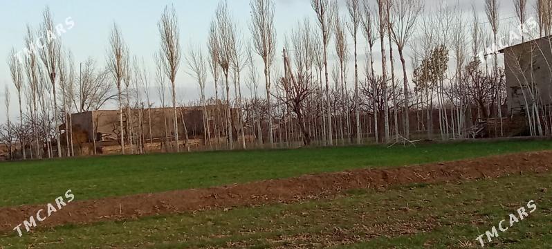 Эмлак - Акдепе - img 4