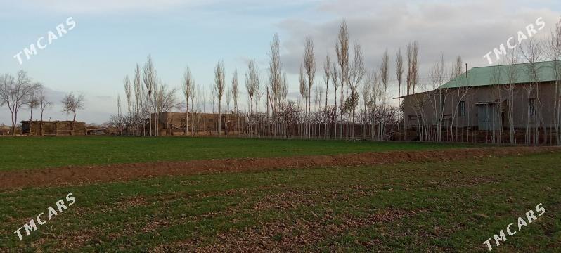 Эмлак - Акдепе - img 7