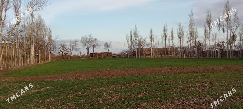 Эмлак - Акдепе - img 9