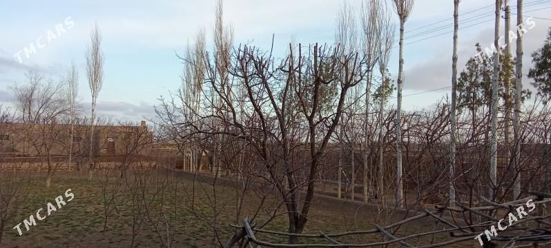 Эмлак - Акдепе - img 2