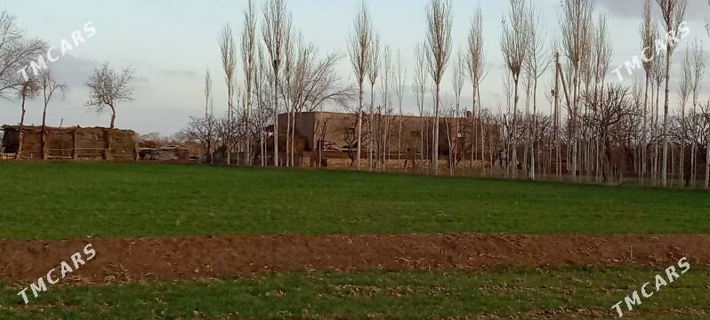 Эмлак - Акдепе - img 6