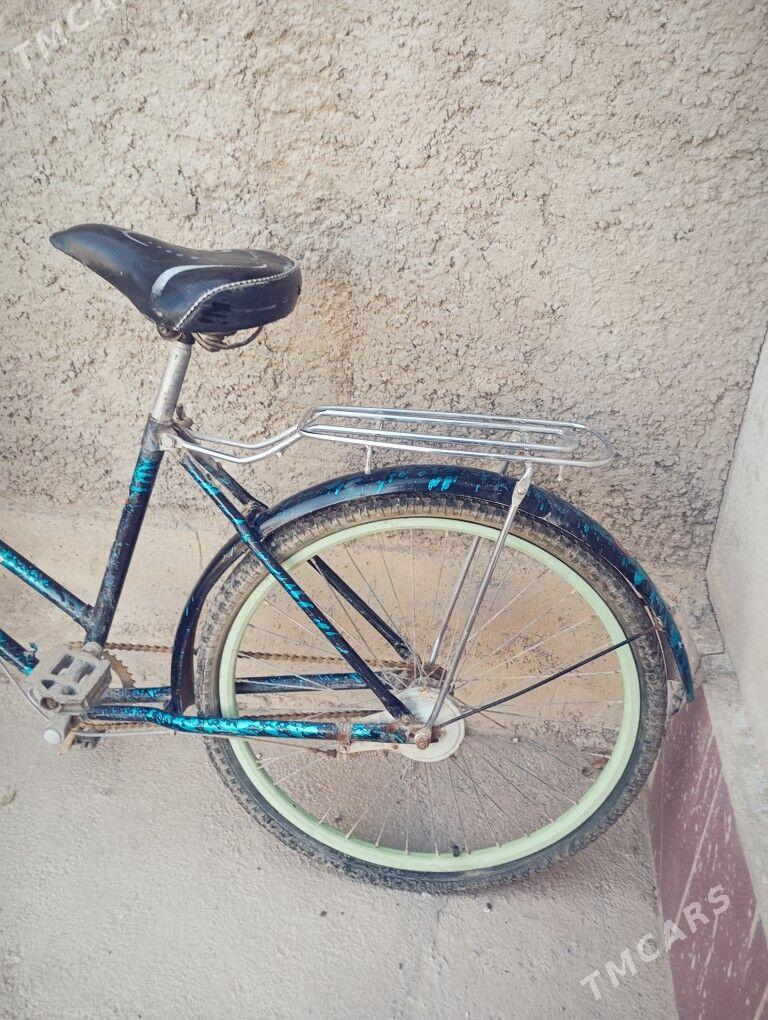 tigir - Теджен - img 3