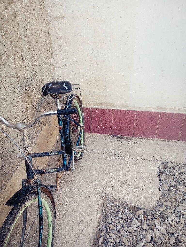 tigir - Теджен - img 2