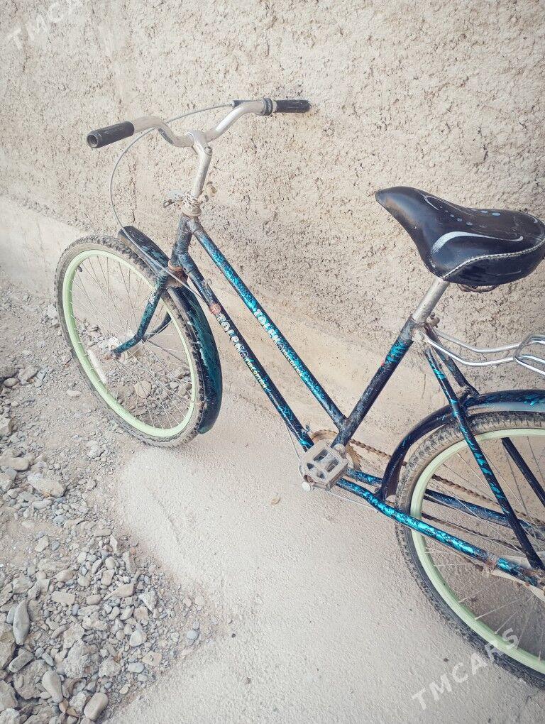 tigir - Теджен - img 4