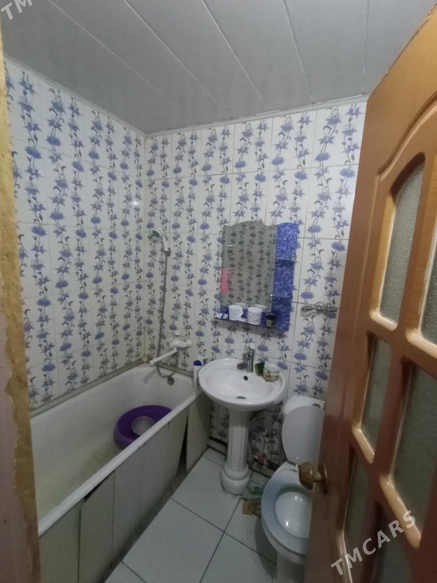 satlyk jay - Мары - img 4