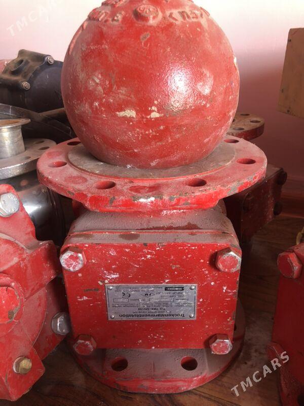 zadwişka - Гёкдепе - img 3