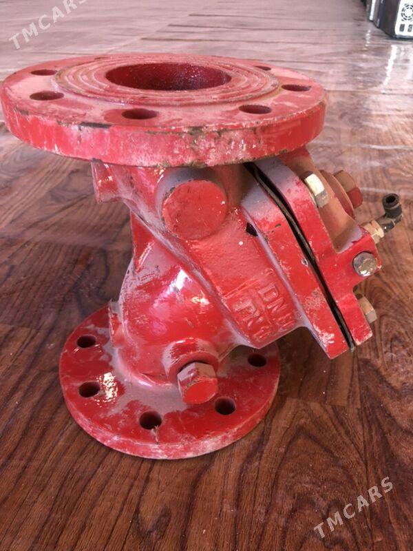 zadwişka - Гёкдепе - img 5