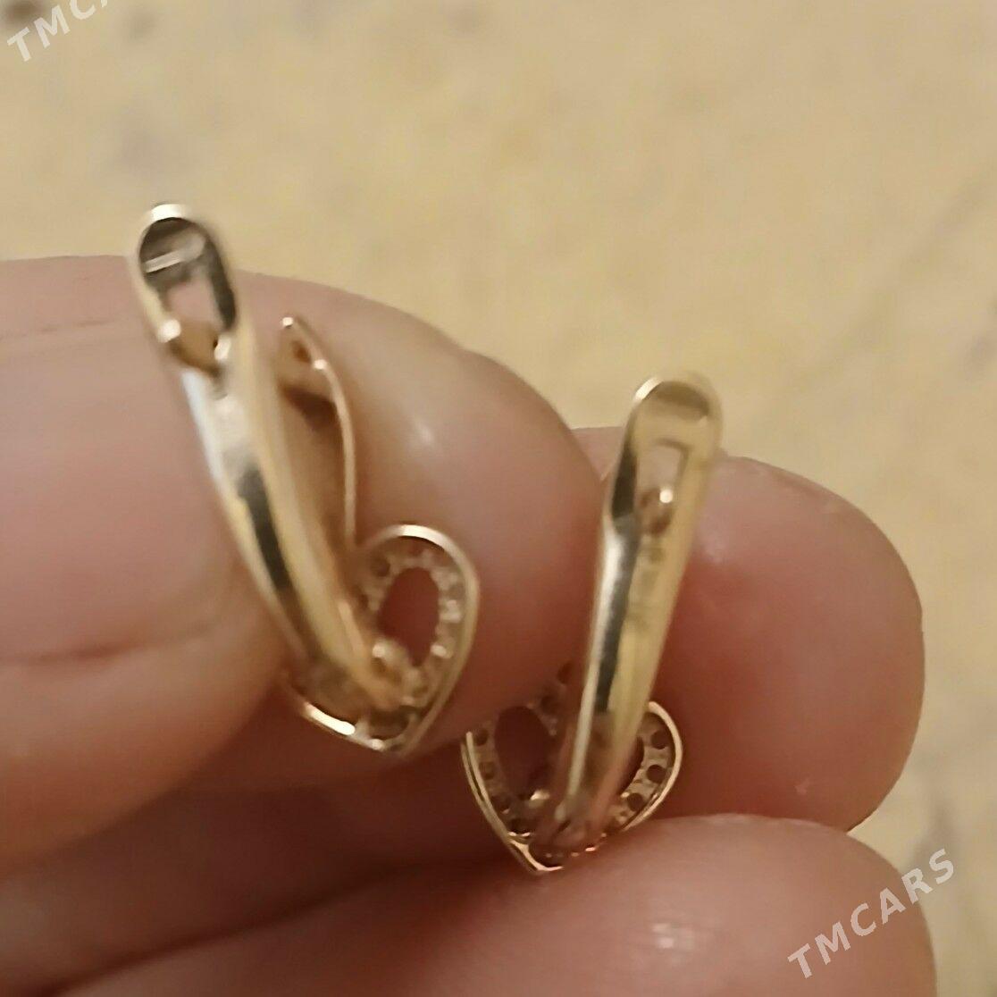 Çaga gyzyl gulakhalka - Aşgabat - img 2