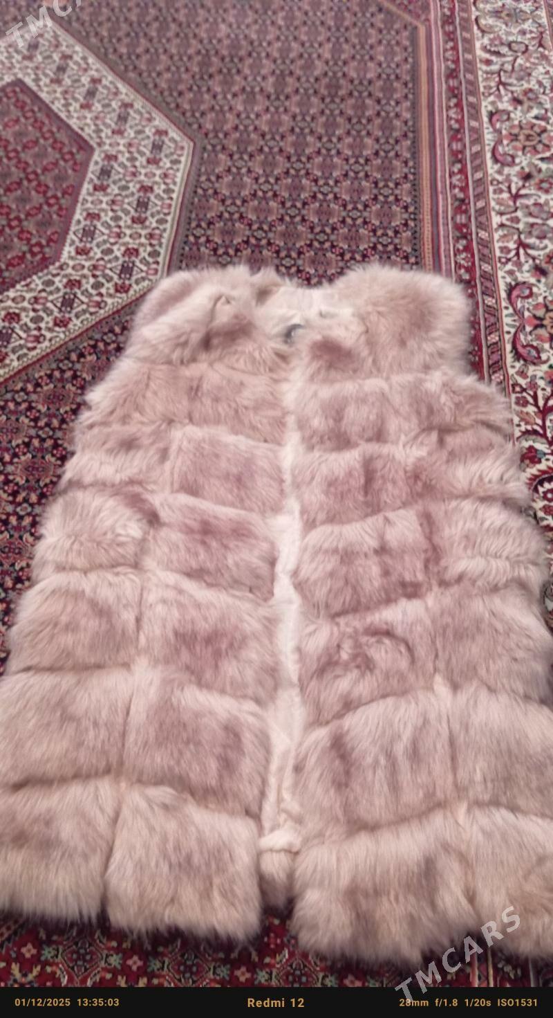 Şuba - Балканабат - img 3