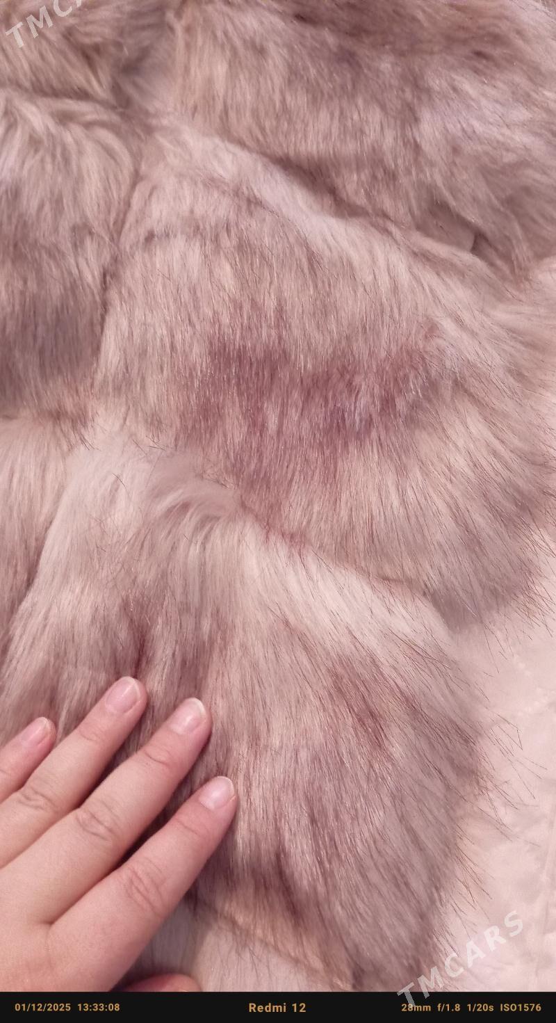 Şuba - Балканабат - img 4