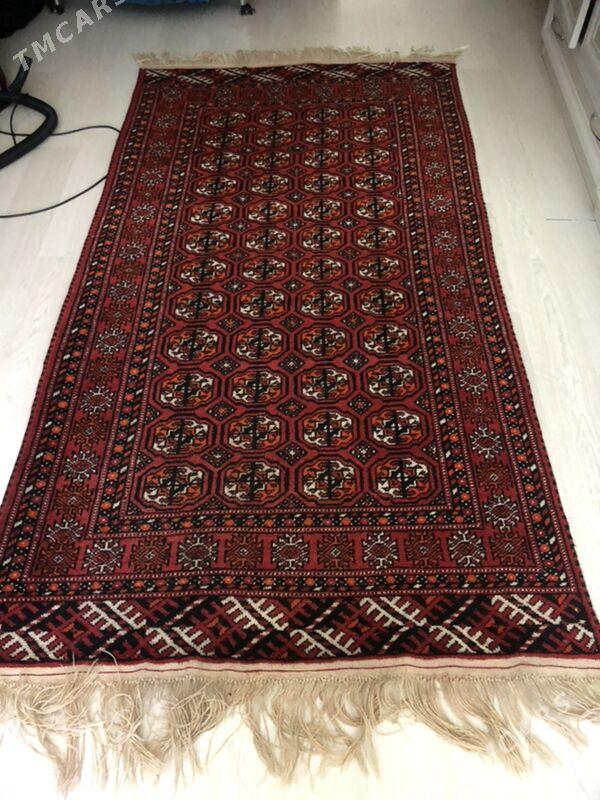 Haly - Parahat 4 - img 2