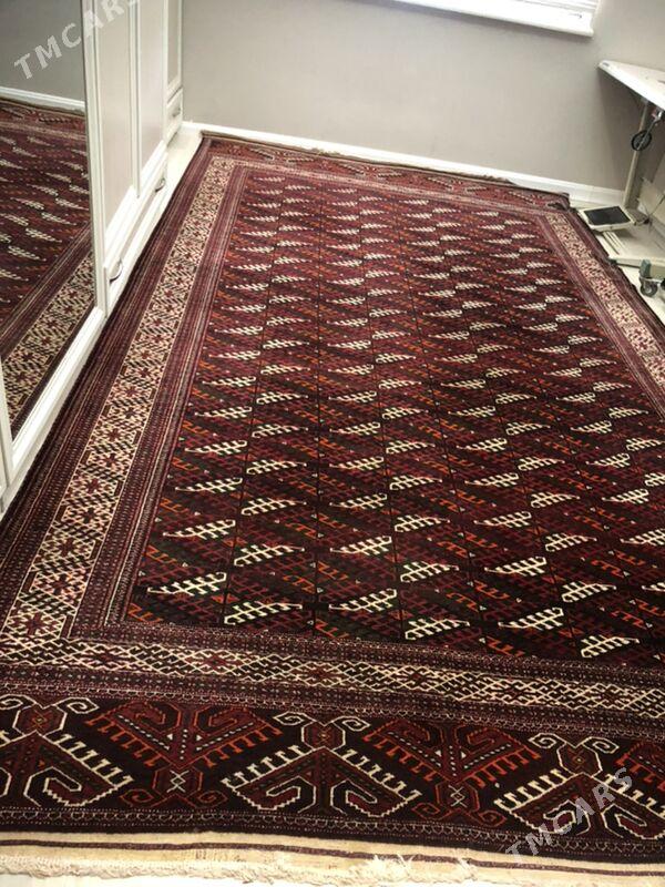 Haly - Parahat 4 - img 5