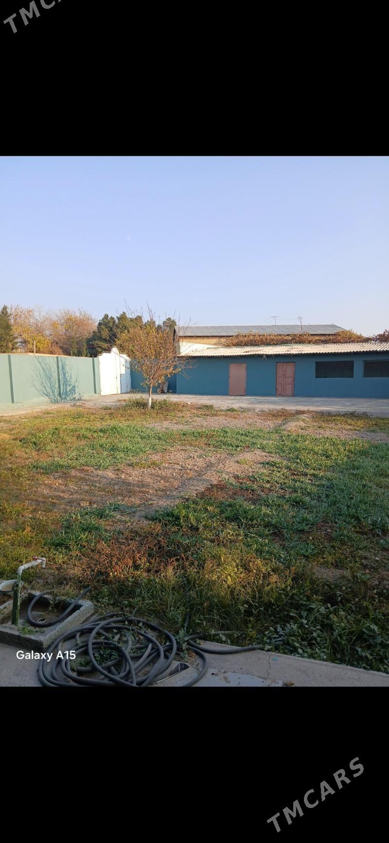 дача дом ховлы жай - Türkmenabat - img 3