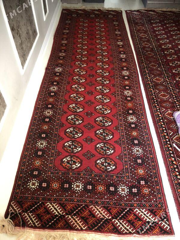 Haly - Parahat 4 - img 1