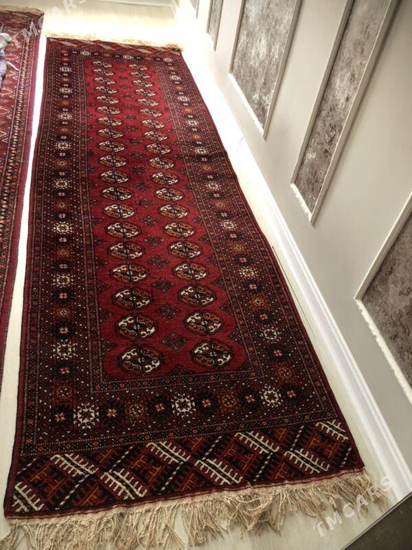 Haly - Parahat 4 - img 7