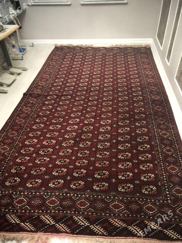 Haly - Parahat 4 - img 6