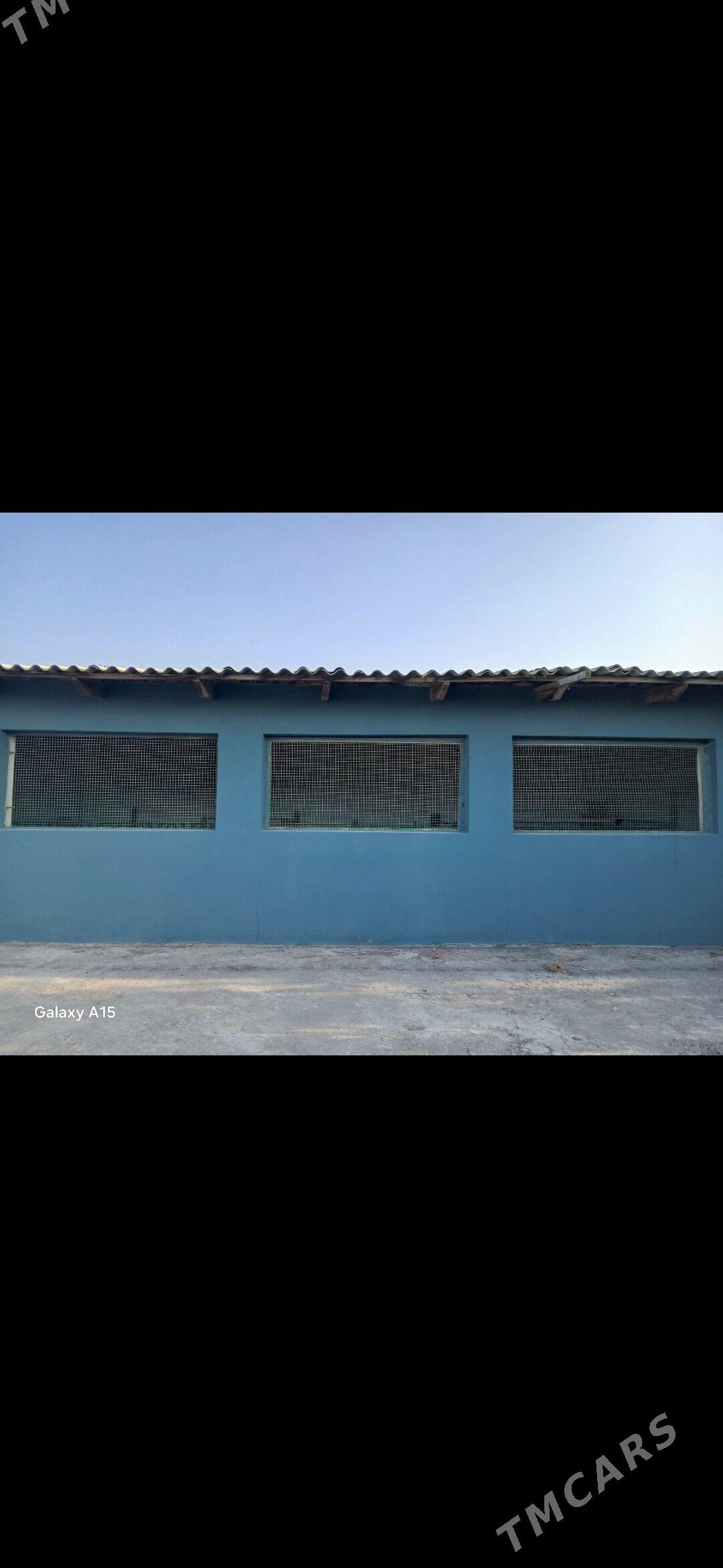 дача дом ховлы жай - Türkmenabat - img 4