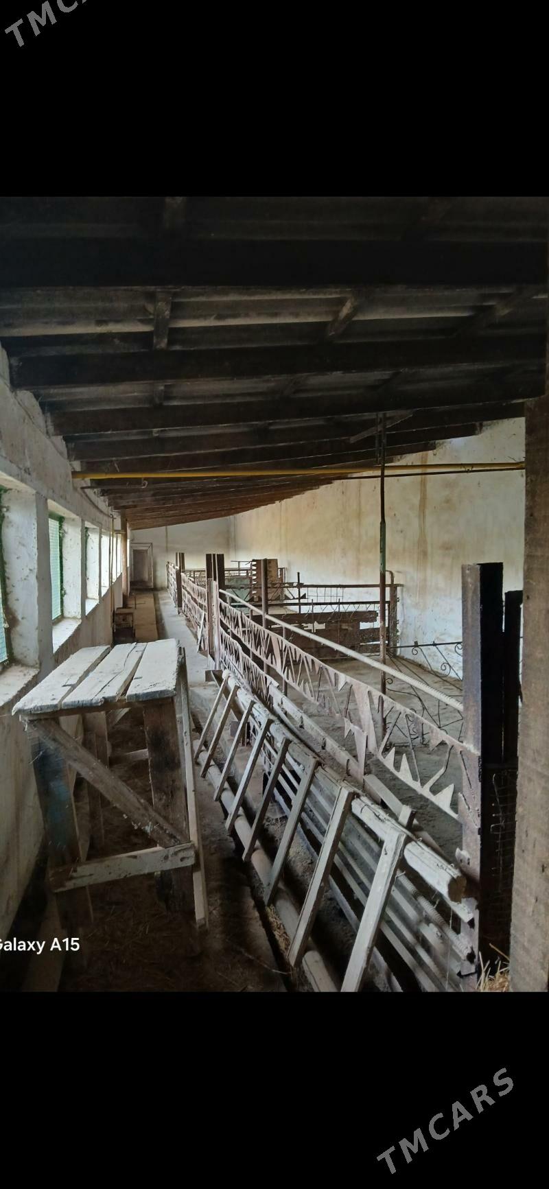 дача дом ховлы жай - Türkmenabat - img 5