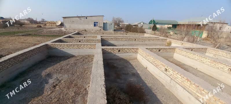 satlik jaý - Гороглы (Тагта) - img 1