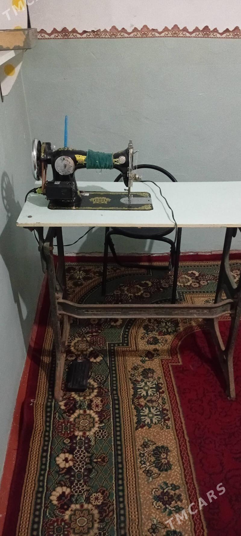 Tikin togy maşyn - Mary - img 6