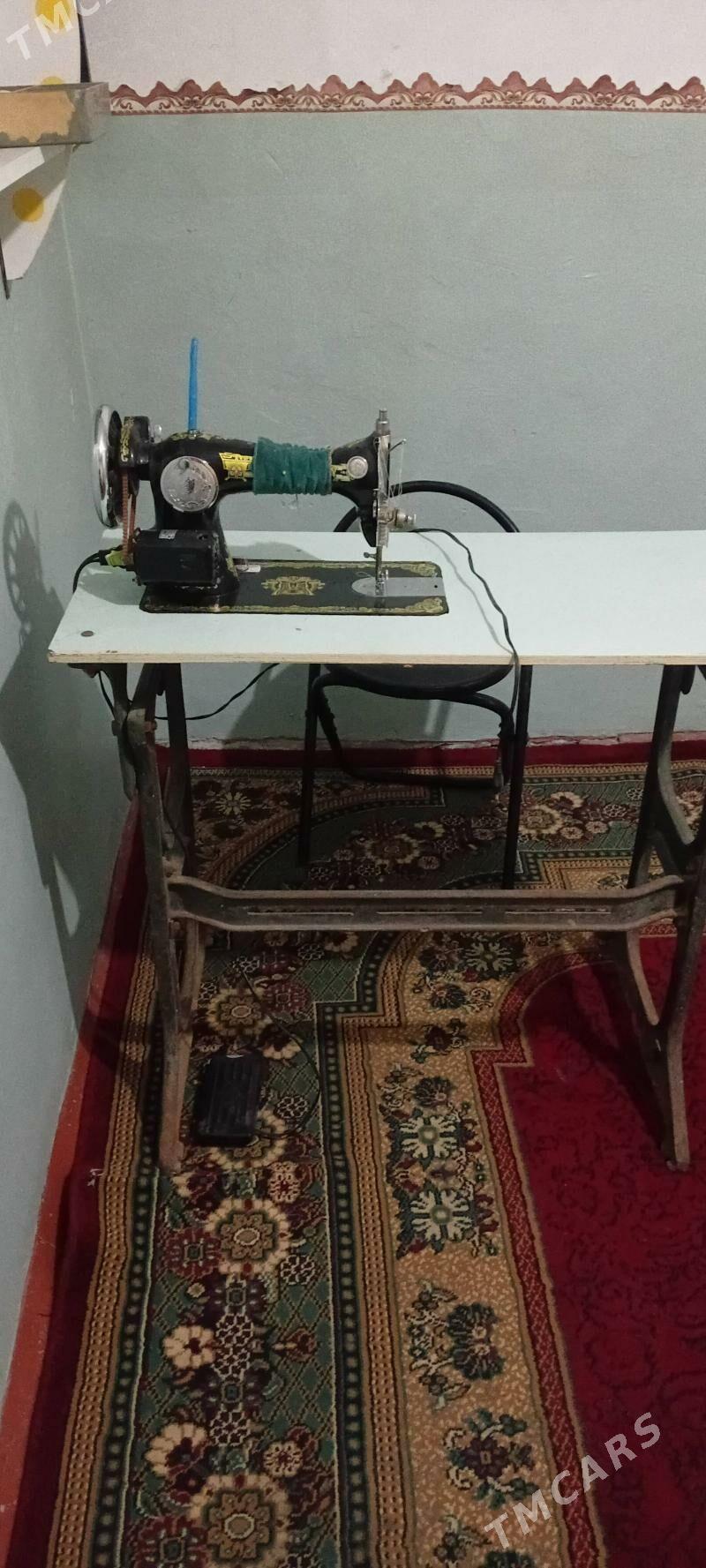 Tikin togy maşyn - Mary - img 3