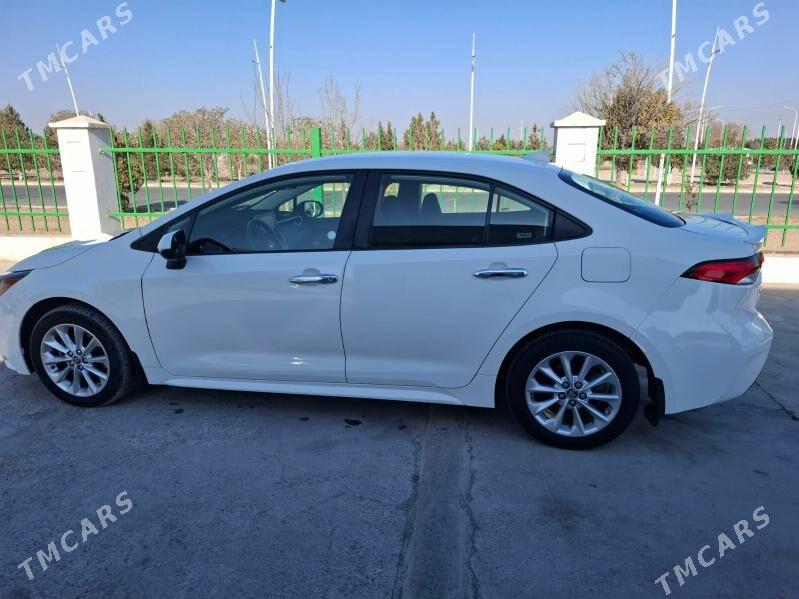 Toyota Corolla 2020 - 200 000 TMT - Кëши - img 5