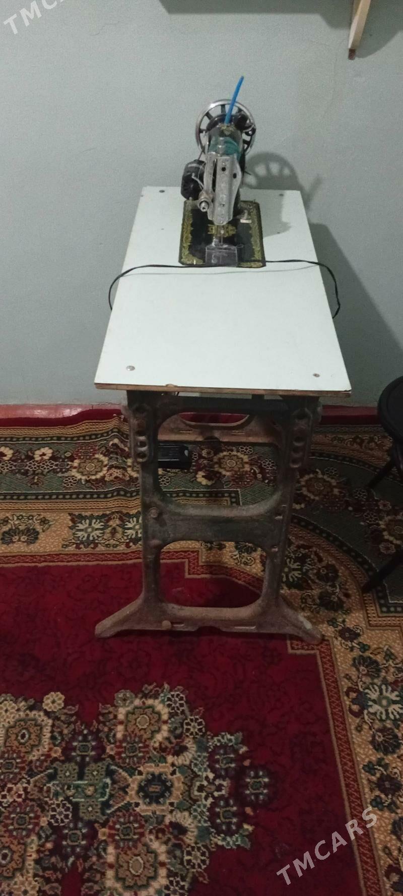 Tikin togy maşyn - Mary - img 4