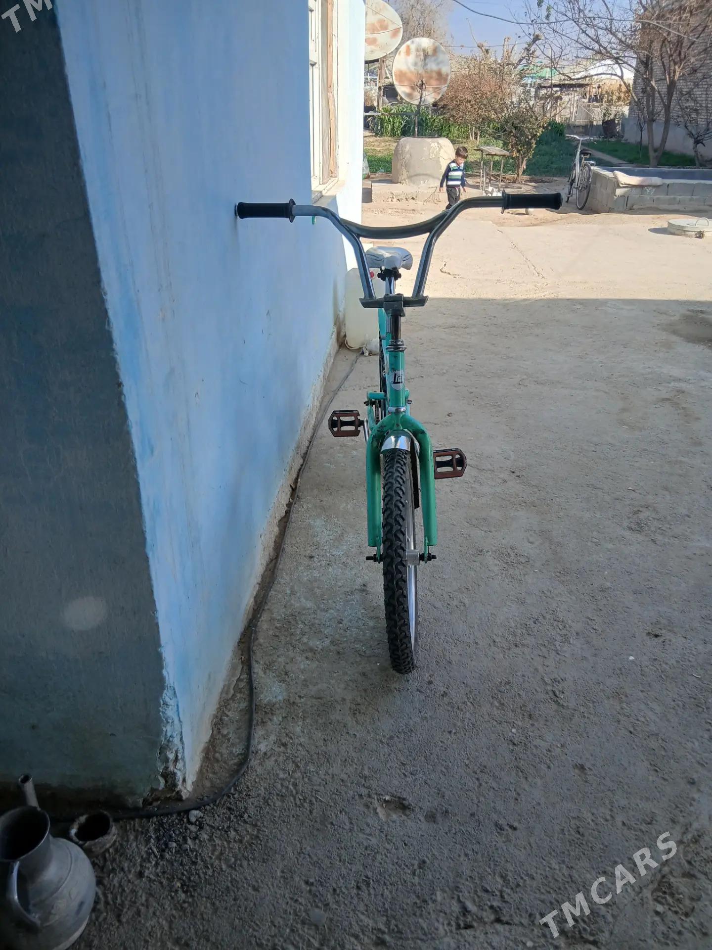 tigir - Бузмеин - img 3