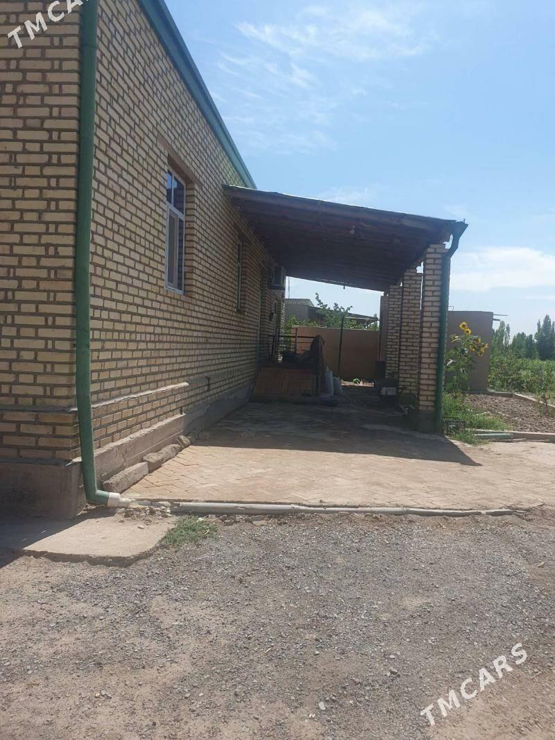 jay satylyar - Görogly (Tagta) - img 6