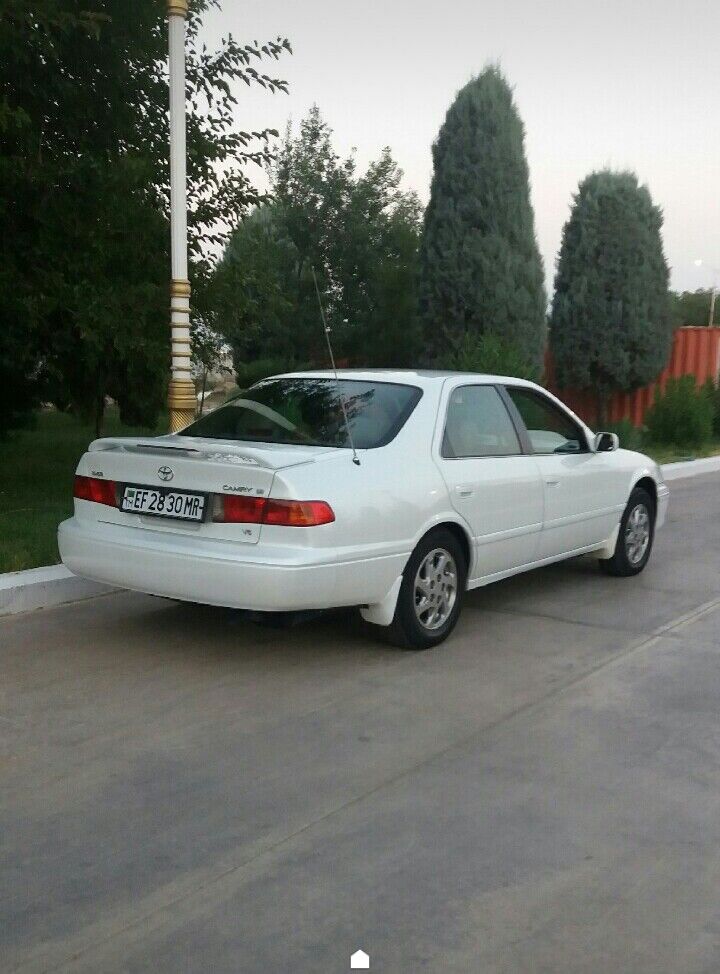 Babyçka yzky fara 300 TMT - Байрамали - img 2