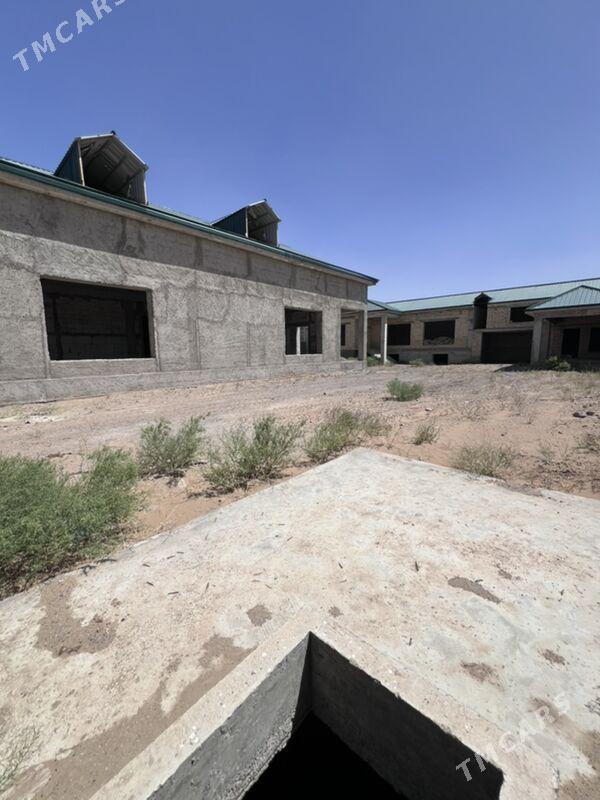 Änew magtymguly  - Ак-Бугдайский этрап - img 7