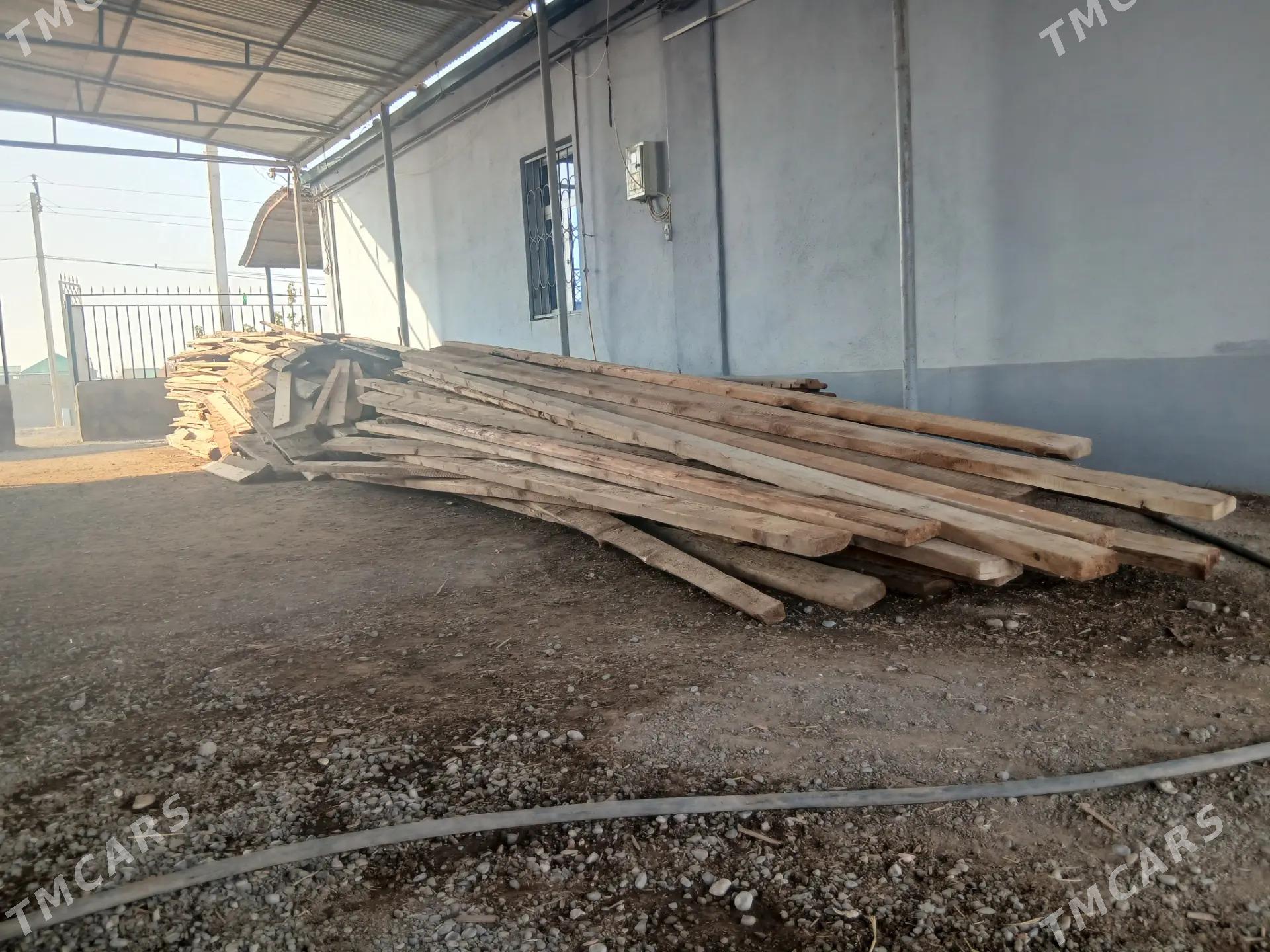 agac - Änew - img 1