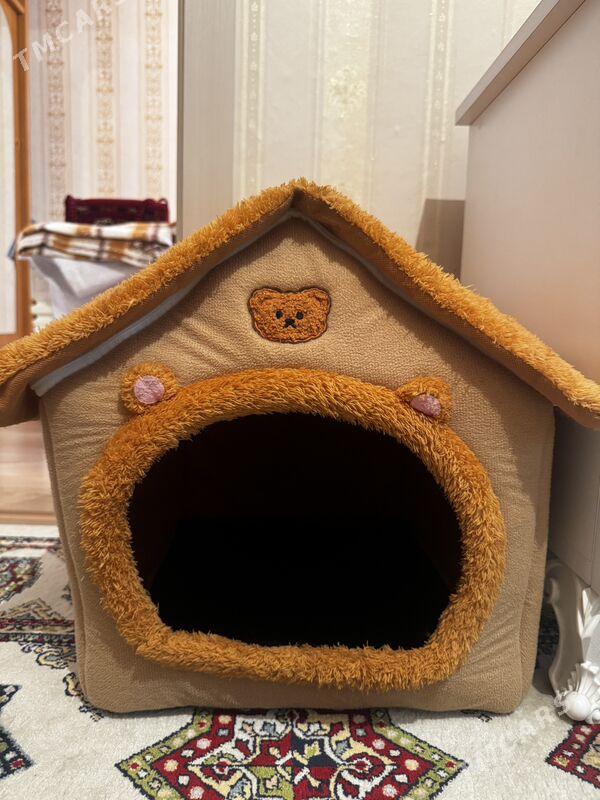 домик кошачий/ pisik domik - Ашхабад - img 2