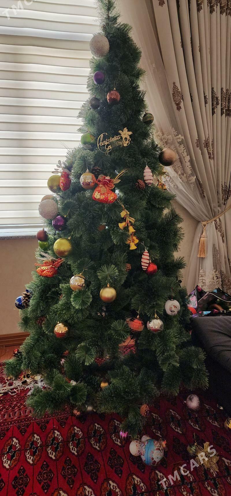 Yolka Елка - Aşgabat - img 2