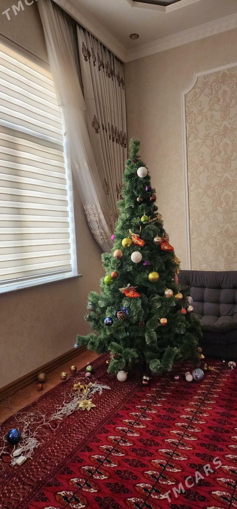 Yolka Елка - Aşgabat - img 3